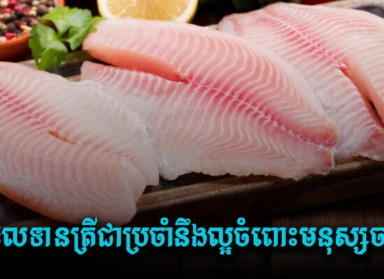 ល្អណាស់ ! ទទួលទានត្រីជាប្រចាំនឹងល្អចំពោះមនុស្សចាស់ព្រោះវាជួយដល់ការចងចាំឱ្យប្រសើរឡើង