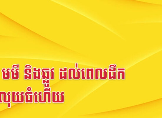 មមែ មមី និងឆ្លូវ ដល់ពេលដឹកបានលុយធំហើយ