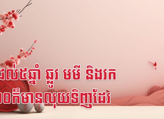 មិនដល់៥ឆ្នាំ ឆ្លូវ មមី និងវក ផ្ទះ១០ក៏មានលុយទិញដែរ