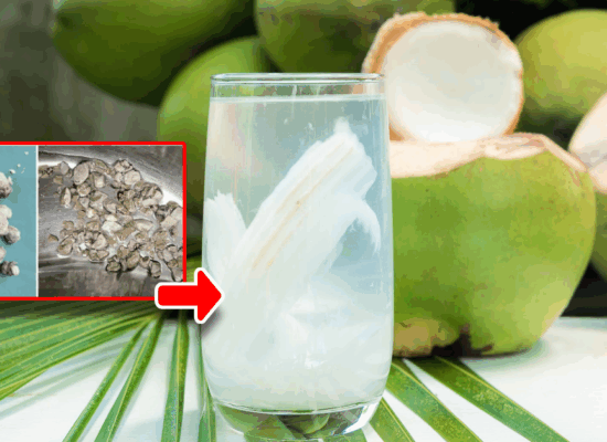 ទឹកដូងជួយបង្ការជំងឺក្រួសក្នុងតម្រងនោម គួរចែកគ្នាដឹង!