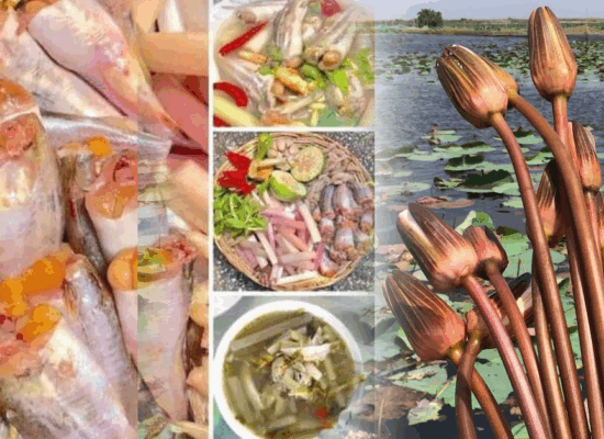 ព្រលឹតព្យាបាលជំងឺអាសន្នរោគ រាករូស រលាកថ្លើម គ្រុនក្ដៅ និងលើសឈាម យ៉ាងមានប្រសិទ្ធភាព