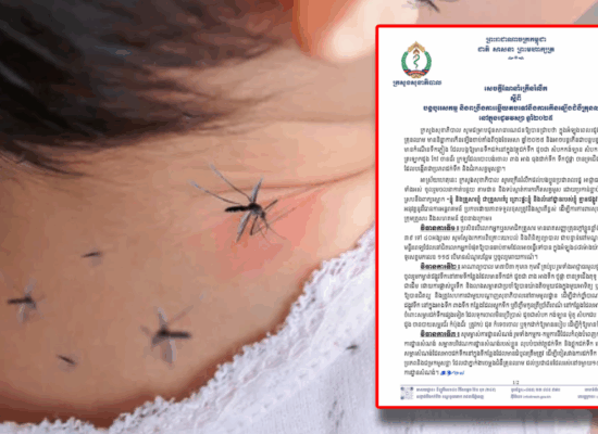 ប្រុងប្រយ័ត្ន! ជំងឺគ្រុនឈាមអាចបន្តកើនជាបន្តបន្ទាប់ ដោយសារមានកំណើនកកើតមូសខ្លា