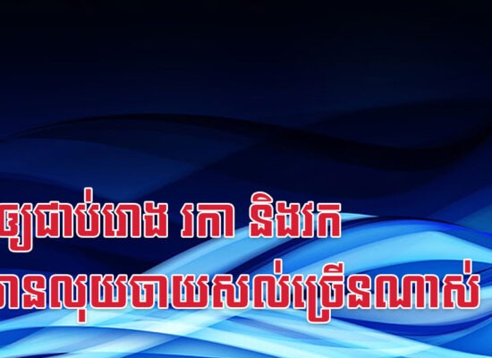 តាមឲ្យជាប់រោង រកា និងវក នឹងមានលុយចាយសល់ច្រើនណាស់