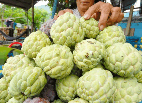 ញ៉ាំផ្លែទៀបទុំធម្មតា ឬទុំជោរ តើមួយណាមានប្រយោជន៍ជាង?