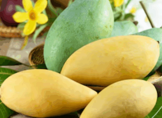 ស្វាយទុំ និងស្វាយខ្ចី៖ មួយណាល្អជាង?