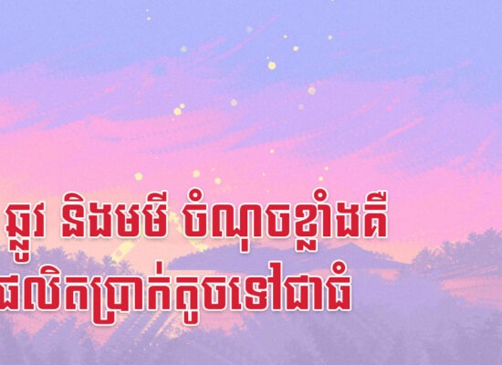 រោង ឆ្លូវ និងមមី ចំណុចខ្លាំងគឺពូកែផលិតប្រាក់តូចទៅជាធំ