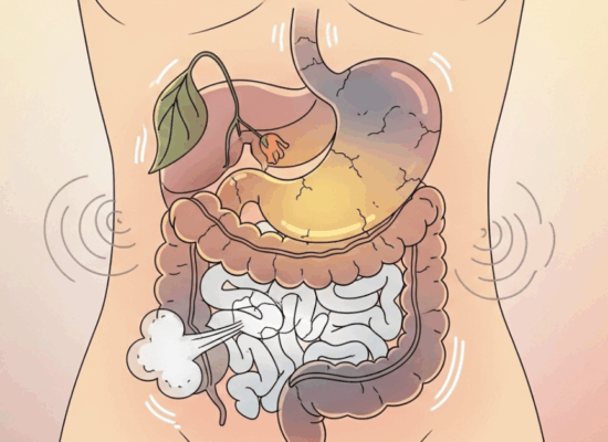 ប្រយ័ត្ន! បើមានរោគសញ្ញា ៤ ក្រុមនេះ នោះពោះវៀនអ្នកកំពុងចុះខ្សោយហើយ—តើត្រូវធ្វើដូចម្ដេច?