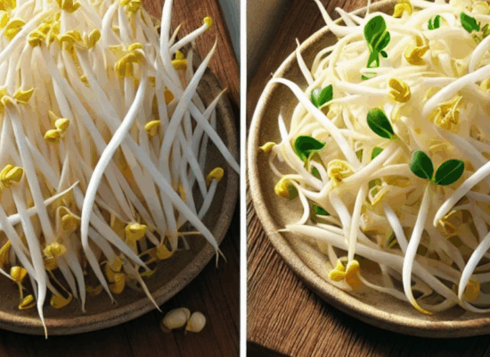 លែងទល់លាមក!សណ្ដែកបណ្ដុះជួយរំលាយអាហារបានរលូន!